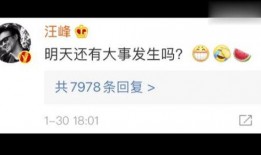 娱乐圈吃瓜去哪个网站,盘点热门网站，让你轻松掌握最新动态