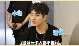 圈内爆料明星大鹏,揭秘娱乐圈背后的风云人物